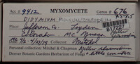 Image Associated With the Occurence